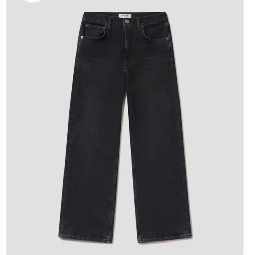 Agolde REN Jeans in Hush New